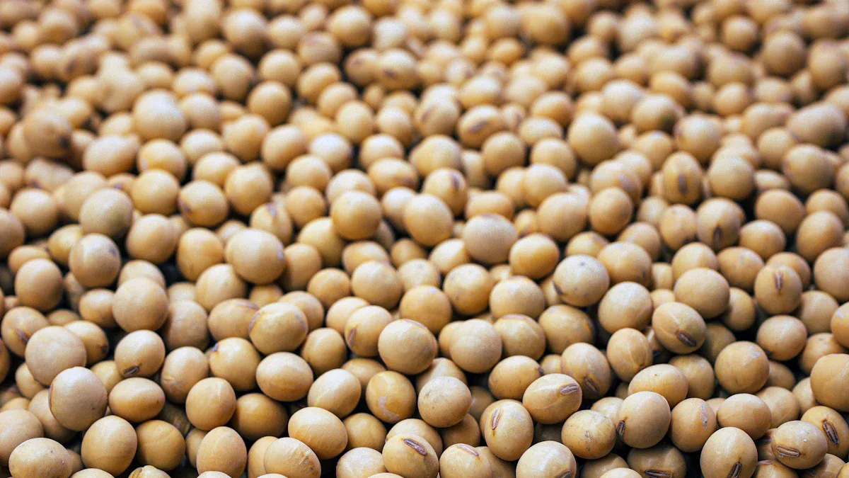 What is Soy Sauce Powder and How Can B2B Buyers Benefit